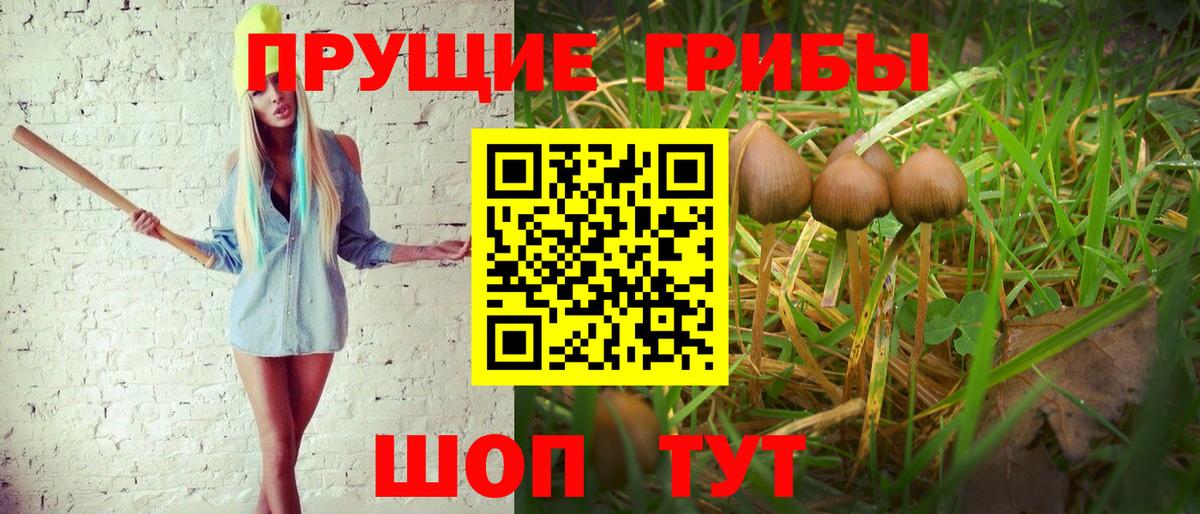 Шахты  Псилоцибиновые грибы Psilocybine cubensis  Вход с VPN  Галлюциногенные грибы Cubensis 