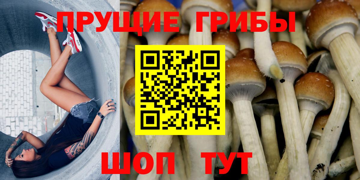 Псилоцибиновые грибы ЛСД Шахты